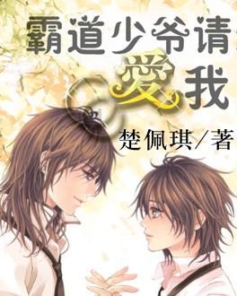 幻想纹章2.1