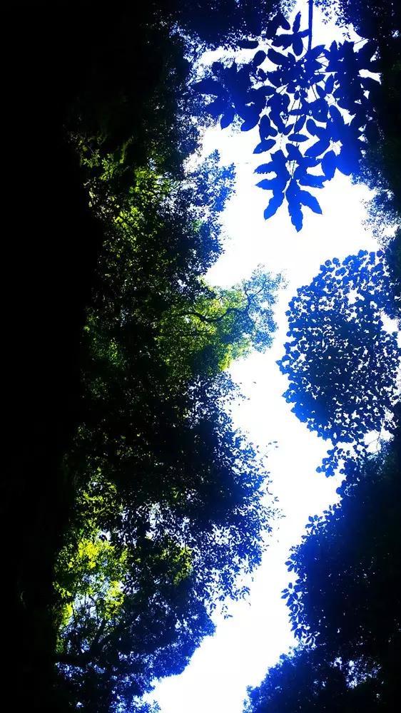 《疯狂的石头》:黑色喜剧中探索人生的疯狂