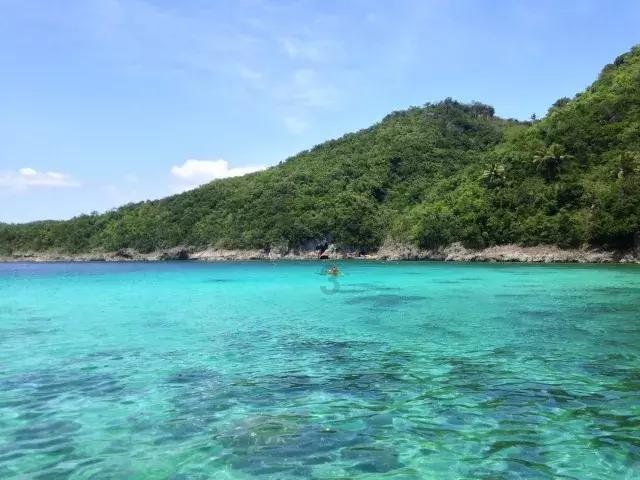 欢迎“小苹果”!