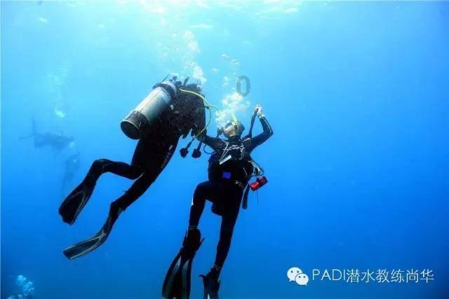 植物大战僵尸17
