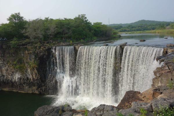 空闲农场
