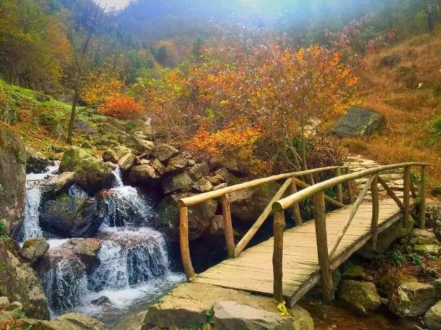 南沙起势加速 项目“满弓”推进