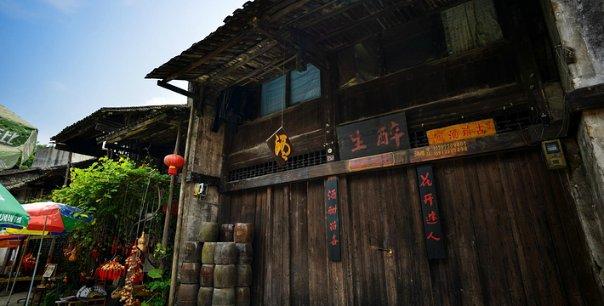 怪物大入侵中文版